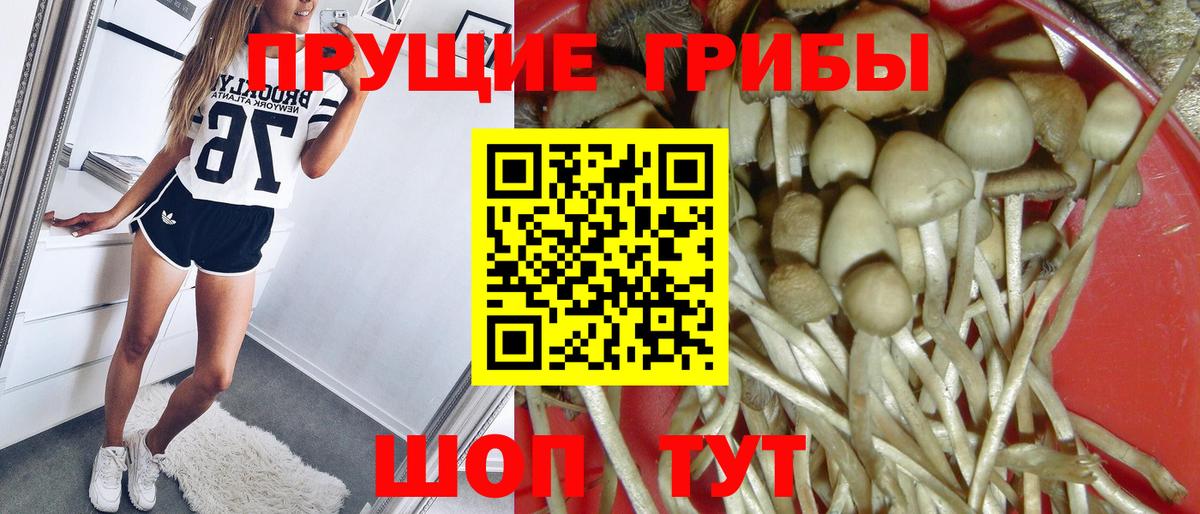 Псилоцибиновые грибы мухоморы  Вход с VPN  Галлюциногенные грибы GOLDEN TEACHER  Нягань 