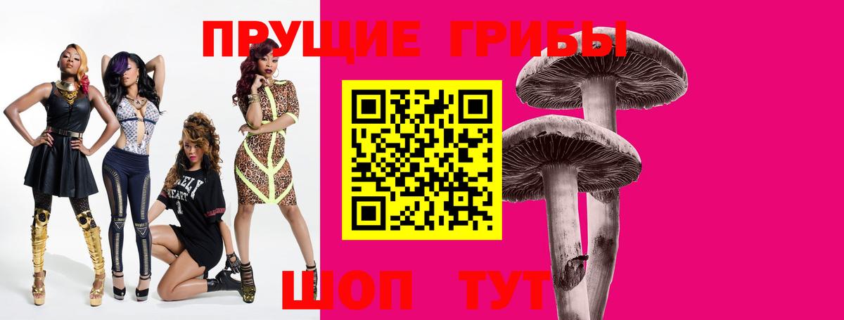 Псилоцибиновые грибы Cubensis Нягань